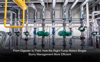 Biogas Slurry Pump: Efficient Slurry Management | Risansi