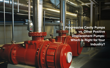 Progressive Cavity Pumps vs Positive Displacement Pumps | Risansi